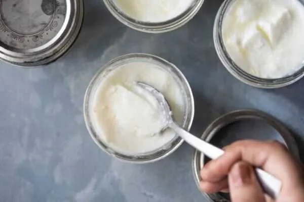 پروبیوتیک &laquo;برای زندگی&raquo; است