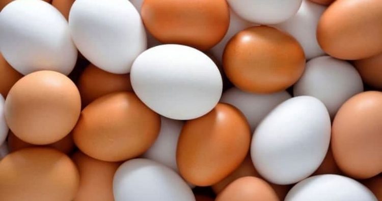 خوردن تخم مرغ خام با بدن ما چه می کند؟