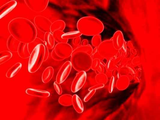 آزمایش فریتین (Ferritin) خون چیست؟