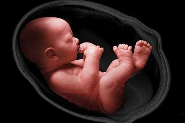 چه زمانی تخمک گذاری پس از سقط شروع می شود؟