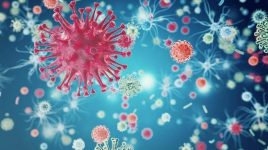 اعتراف دیرهنگام بهداشت جهانی درباره منشا ویروس کرونا