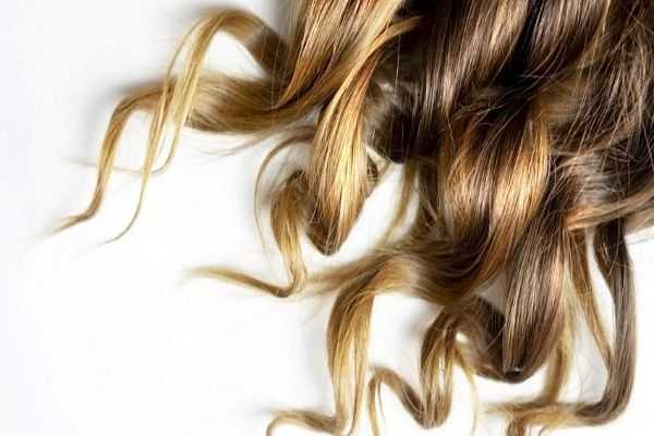 کاربردها و فواید اسانس رزماری برای رشد مو، سلامتی و درمان سرطان + نحوه استفاده اسانس رزماری