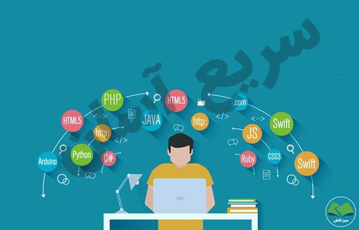 کدام زبان برنامه نویسی برای مهاجرت بهتر است؟