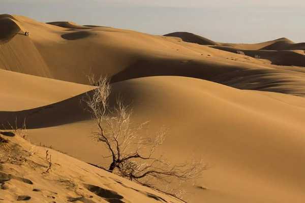 کویر مرنجاب