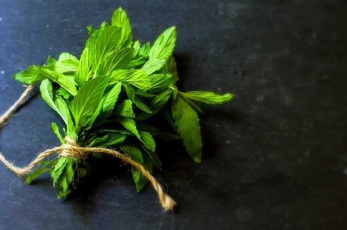 طب سنتی در خصوص مصرف نعناع در ماه رمضان چه می گوید؟