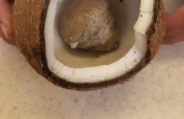اگر این خواص نارگیل تازه رو بدونی هیچ و وقت ازش دست بر نمیداری