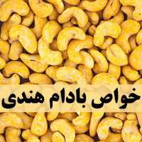 بادام هندی و خواص آن + قیمت / طرز تهیه خوراک مرغ و بادام هندی