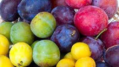 کسانی که کم خونی، یبوست، فشار خون دارند هر روز این میوه را میل کنند