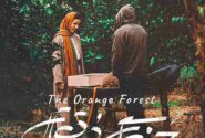 نگاهی به فیلم” جنگل پرتقال”؛ ادامه دخترانه های صدرعاملی