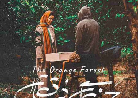 نگاهی به فیلم” جنگل پرتقال”؛ ادامه دخترانه های صدرعاملی