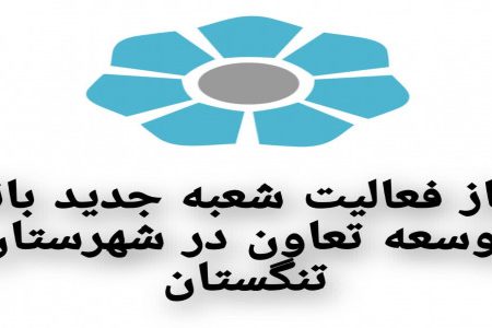 آغاز فعالیت شعبه جدید بانک توسعه تعاون در شهرستان تنگستان