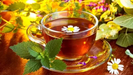 ماسالا
