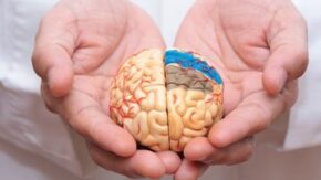 با راهکارهای ساده جوان نگه‌‌داشتن مغزتان آشنا شوید/ تاثیر کوچک شدن مغز بر حافظه و تمرکز