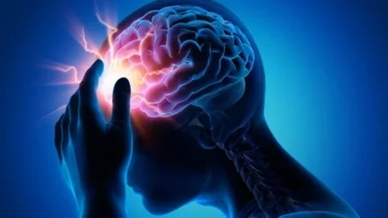 آسیب به مغز با بی تحرکی | بی تحرکی آسیب زیادی به مغز می زند