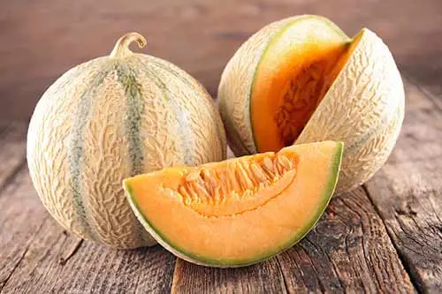 طالبی
