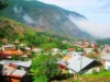 زنان خانه دار