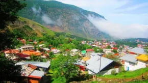 زنان خانه دار