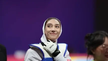 مبینا نعمت زاده