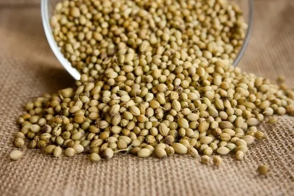 ترنجبین چیست