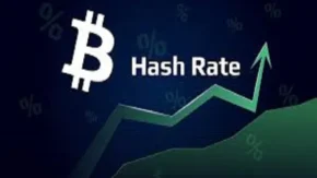 هش ریت چیست
