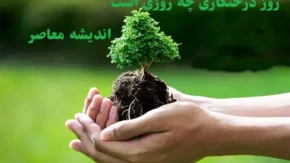 روز درختکاری چه روزی است