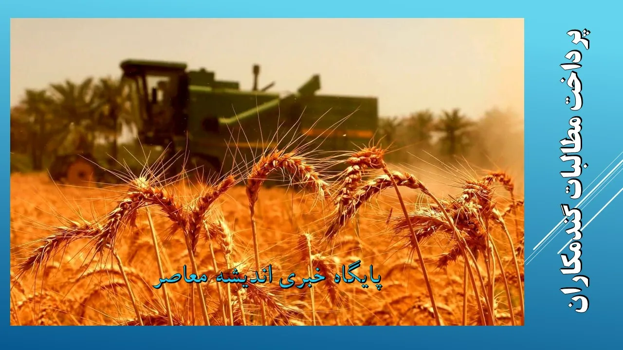 نرخ پیشنهادی بنیاد ملی گندمکاران برای سال ۱۴۰۴-۱۴۰۵