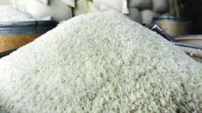 خرید برنج صدری هاشمی برای محرم از برنجستان + قیمت ۵.۳ میلیون تومانی کیسه ۱۰ کیلویی / آدرس، مزایا و جدول مقایسه