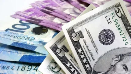 بازار ارز تهران ۱۷خرداد ۱۴۰۵ | پیش‌بینی قیمت دلار امروز؛ خریداران عقب نشستند / قیمت دلار ۱۷۴ هزار تومانی فعلاً تثبیت شد؛ در صورت توافق تا ۱۵۰ هزار تومان سقوط می‌کد