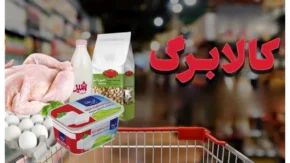 تأثیر کالابرگ بر مصرف لبنیات؛ آیا سهمیه‌ها موجب افزایش خرید می‌شوند؟ / بررسی کارشناسان از نقش کالابرگ در تغییر الگوی مصرف لبنیات در خانوارها