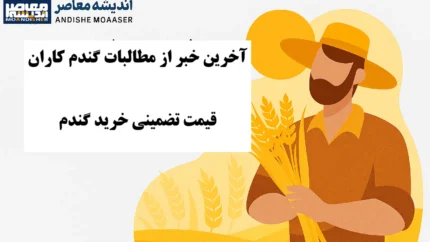 گندم