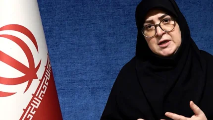 سخنگوی دولت: مسدودکردن پلتفرم‌ها فقط با دستور رئیس‌جمهور امکان‌پذیر است | مصوبه جدید ستاد راهبری فضای مجازی ابلاغ شد