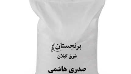 صدای مزرعه تا سفره: برنج اصیل گیلان، بسته ۵ کیلویی/ چرا «صدری هاشمی شرق گیلان» انتخاب برتر است؟