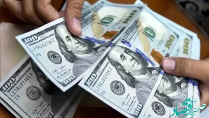 بازار ارز در نوسان محدود! قیمت دلار ۲۰ بهمن ۱۴۰۴ و رتبه‌بندی ارزها در جدول رسمی نرخ‌ها