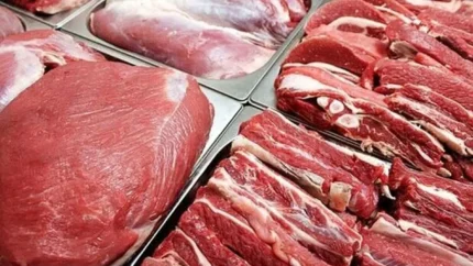 قیمت گوشت قرمز امروز ۳ مرداد ۱۴۰۵؛ بازار در ثبات نسبی / جدول قیمت انواع برش‌های گوسفندی و گوساله
