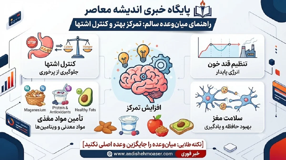 تغذیه و سلامت مغز ۱۸ تیر ۱۴۰۵ | بهترین میان وعده برای افزایش تمرکز و کنترل اشتها / ترکیب سیب و کره بادام‌ زمینی؛ تخم‌ مرغ آب‌ پز؛ ماست یونانی با تخم کتان و اسموتی سبز + جدول ۱۰ گزینه برتر