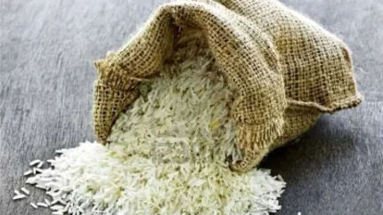 آخرین نرخ هاشمی، طارم، فجر و صدری / جدول قیمت برنج ایرانی امروز جمعه ۹ مرداد ۱۴۰۵؛ قیمت انواع برنج در بازار چقدر شد؟ / قیمت برنج ایرانی امروز ۹ مرداد ۱۴۰۵؛ جدیدترین قیمت هاشمی، طارم، فجر، شیرودی و سایر ارقام + جدول