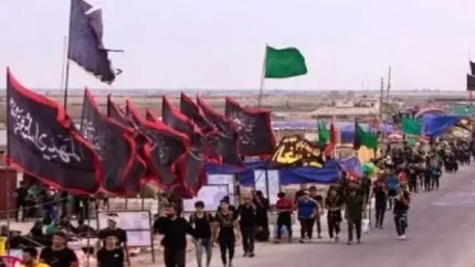 هزینه بلیط سفر دریایی اربعین اعلام شد؛ جزئیات نرخ‌ها و شرایط سفر / سفر دریایی اربعین با چه قیمتی انجام می‌شود؟ آخرین نرخ بلیط و زمان آغاز فروش