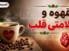 سلامت قلب و تغذیه | چند فنجان قهوه در روز برای قلب مفید است؟ پاسخ محققان به یک سوال پرتکرار / قهوه و سلامت قلب؛ مصرف متعادل ۲ تا ۳ فنجان در روز خطر بیماری‌های قلبی را کاهش می‌دهد
