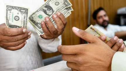 قیمت دلار امروز چهارشنبه ۷ مرداد ۱۴۰۵؛ آخرین نرخ دلار در بازار آزاد و مرکز مبادله / قیمت دلار امروز ۷ مرداد ۱۴۰۵؛ دلار وارد کانال ۱۹۰ هزار تومان شد؟ / جدیدترین قیمت دلار امروز چهارشنبه ۷ مرداد ۱۴۰۵؛ جدول نرخ دلار، یورو و ارزهای مهم