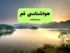 پیش‌بینی آب‌وهوای قم فردا سه‌شنبه ۶ مرداد | کاهش ۴ درجه‌ای دما و هوایی صاف و گرم در انتظار قمی‌ها / هوای قم فردا به ۳۹ درجه می‌رسد؛ وزش باد ملایم و وضعیت صاف در استان