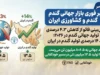 خبر فوری بازار جهانی گندم و کشاورزی ایران | پیش‌بینی فائو از کاهش ۴.۳ درصدی تولید جهانی گندم در ۲۰۲۶؛ رشد ۱۴ درصدی تولید گندم در ایران / تولید جهانی به ۸۰۶.۵ میلیون تن می‌رسد، ایران با تولید ۱۳.۵ میلیون تنی در مسیر خودکفایی