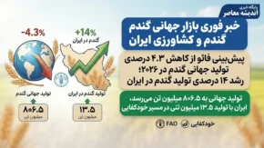 خبر فوری بازار جهانی گندم و کشاورزی ایران | پیش‌بینی فائو از کاهش ۴.۳ درصدی تولید جهانی گندم در ۲۰۲۶؛ رشد ۱۴ درصدی تولید گندم در ایران / تولید جهانی به ۸۰۶.۵ میلیون تن می‌رسد، ایران با تولید ۱۳.۵ میلیون تنی در مسیر خودکفایی