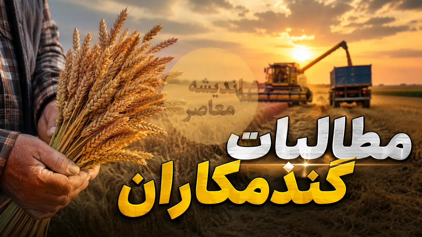 مطالبات گندمکاران ۱۴۰۵؛ چند درصد پرداخت شد؟ آخرین خبر از واریز پول گندم و زمان تسویه کامل مطالبات کشاورزان