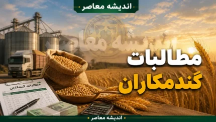 خبر فوری از پرداخت مطالبات گندمکاران امروز چهارشنبه ۷ مرداد ۱۴۰۵ | زمان واریز مطالبات گندمکاران اعلام شد | آخرین وضعیت پرداخت پول خرید تضمینی گندم