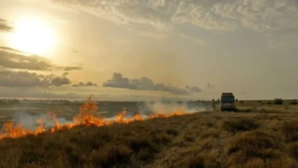 راز آتش های سریالی میانکاله چیست؟ / ۱۲ حریق مشکوک در کمتر از سه هفته / ردپای عامل انسانی در آتش سوزی های پناهگاه حیات وحش