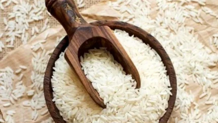 گرانی یا آرامش در بازار برنج؟؛ آخرین قیمت برنج هاشمی، طارم و ارقام پرمصرف اعلام شد / سفره ایرانی زیر فشار قیمت‌ها؛ جدول جدید نرخ برنج‌های محبوب کشور منتشر شد