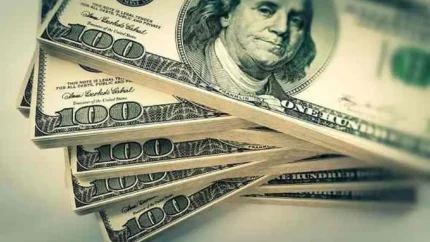 دلار امروز چند معامله شد؟ بررسی روند قیمت ارز و تغییرات بازار / جدیدترین قیمت دلار، یورو و ارزهای مهم در بازار دوشنبه ۱۲ مرداد ۱۴۰۵