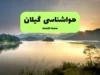 پیش‌ بینی فوری هوای گیلان | هواشناسی یکشنبه ۱۸ مرداد اعلام کرد: باران می‌ آید یا گرما ادامه دارد؟ / دمای فردا در گیلان چند درجه است؟ + جزئیات کامل وضعیت جوی