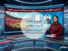 خبرهای فوری پرسپولیس؛ پایان پرونده خارجیها، خداحافظی ستارهها و شماره پیراهنهای جدید اعلام شد