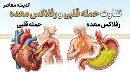 تفاوت حمله قلبی و رفلاکس معده؛ راهنمای کامل تشخیص دو عارضه با علائم مشابه